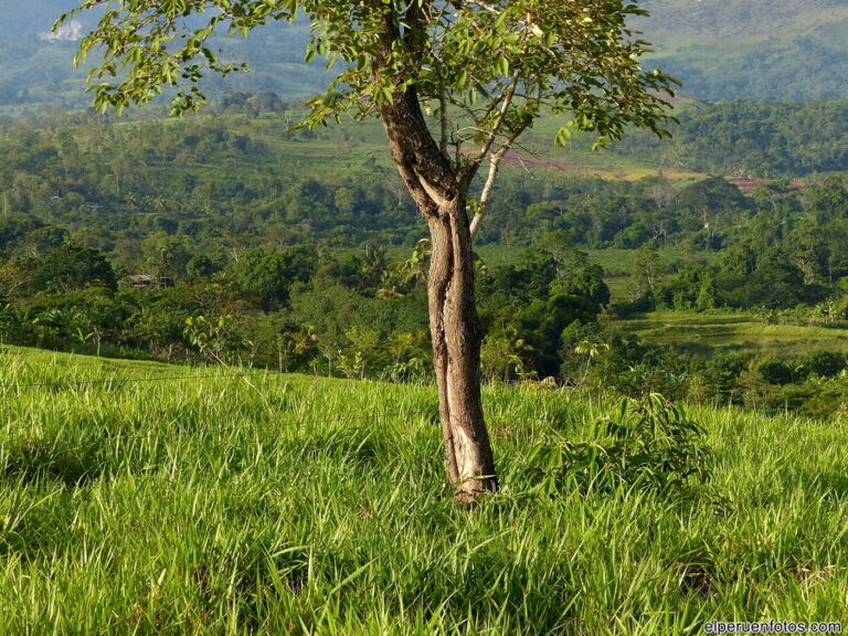 bello horizonte 027